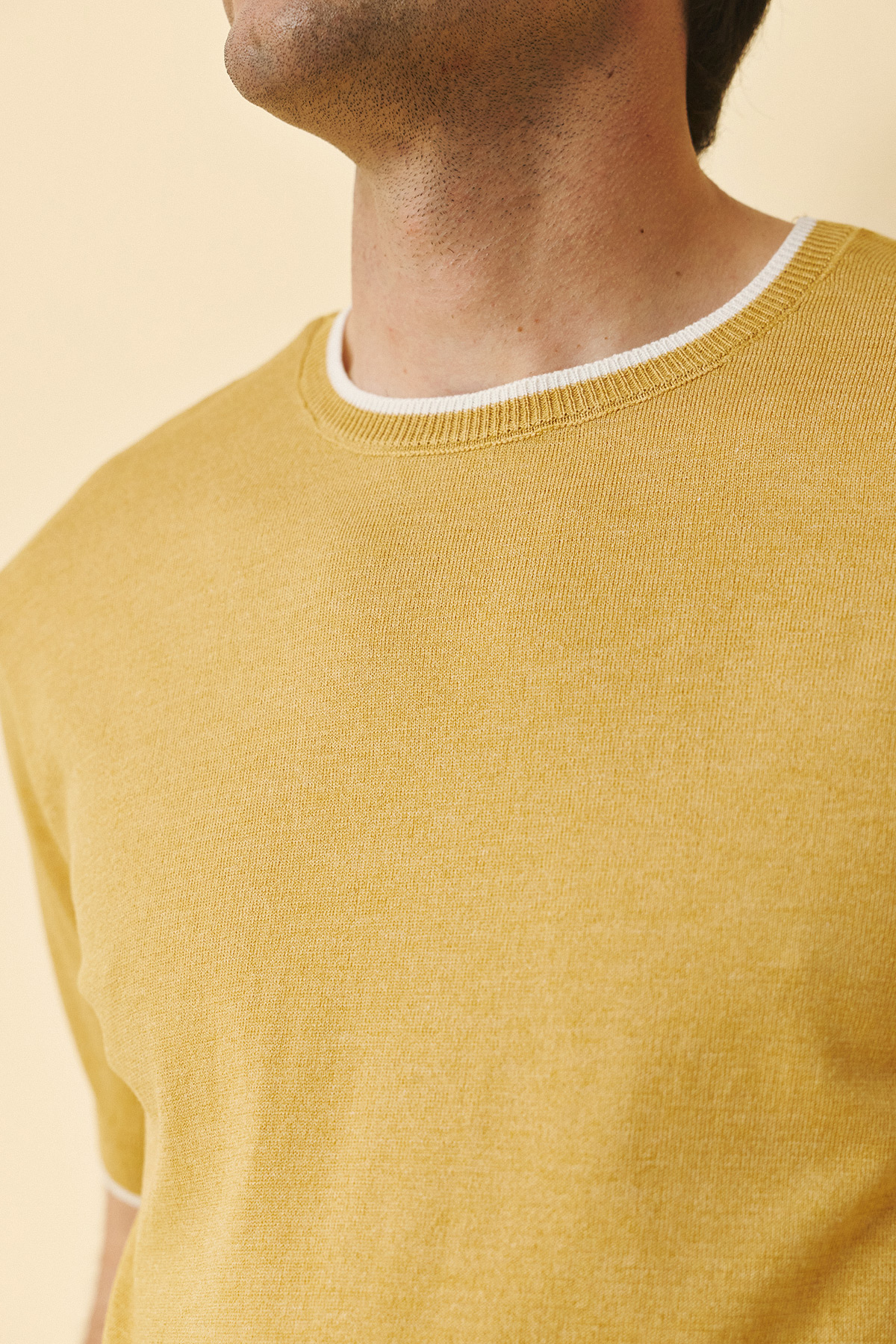 Alternative view of Guy Laroche Κοντομάνικη Μπλούζα T-Shirt  σε Camel Χρώμα